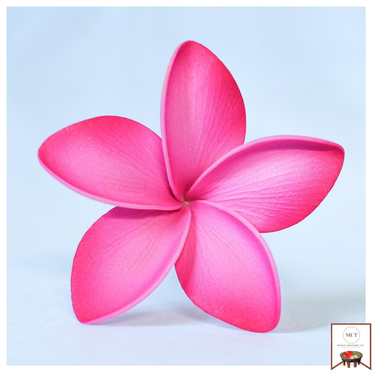 Frangipani Sei (Medium)
