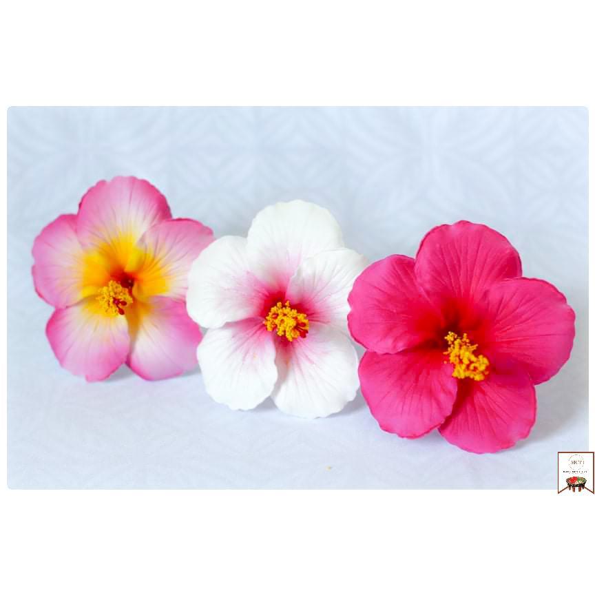 Hibiscus Sei (Large)