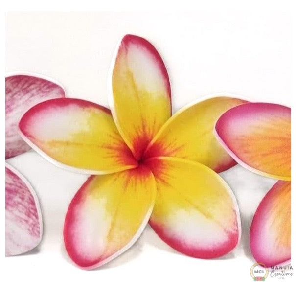 Frangipani (New Designs)