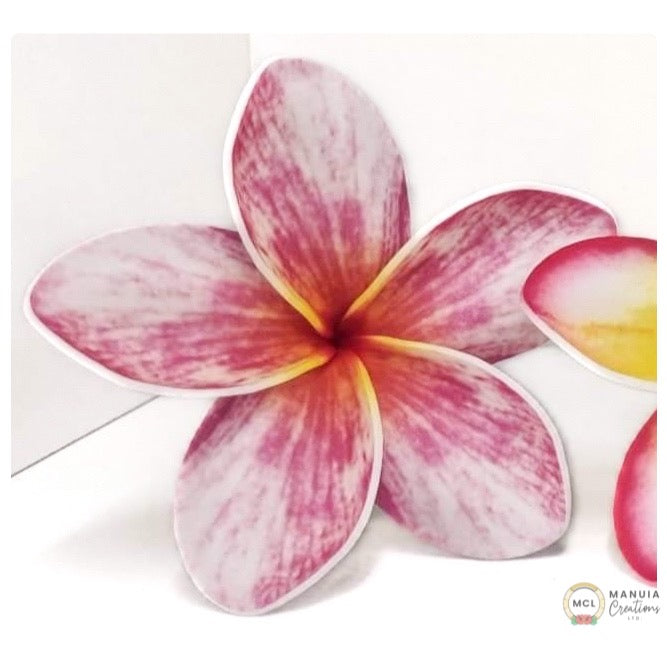 Frangipani (New Designs)