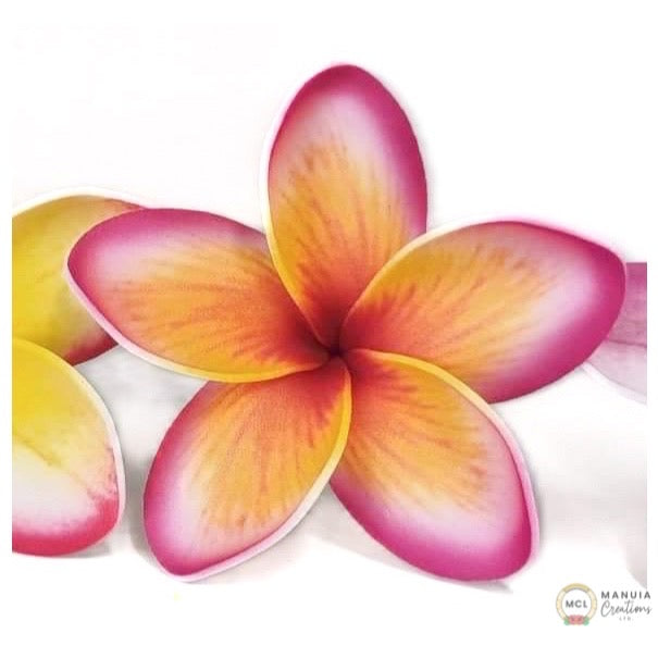 Frangipani (New Designs)